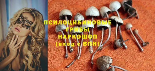 сатива Лихославль