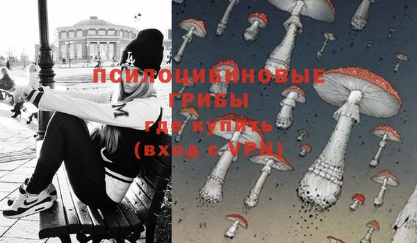 спайс Липки
