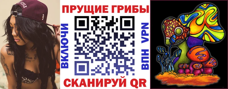 Купить  Олонец  Псилоцибиновые грибы GOLDEN TEACHER 